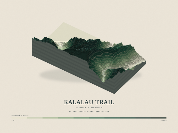 Kalalau Trail — Terrain Relief print in Forest Floor (landscape)