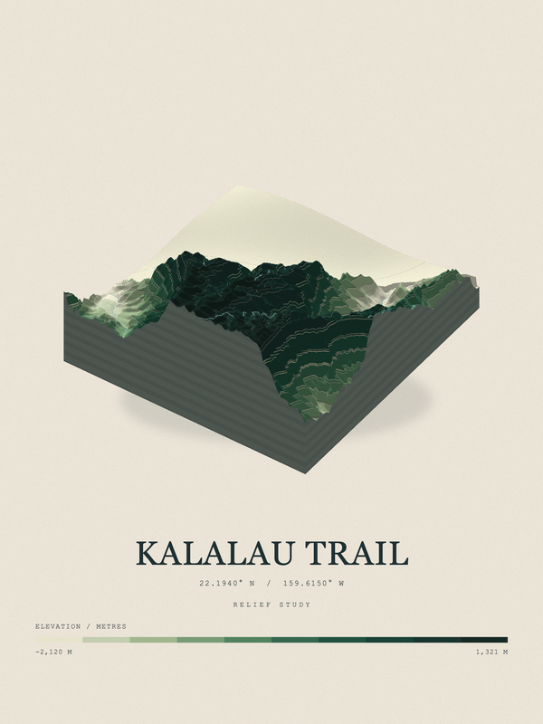Kalalau Trail — Terrain Relief print in Forest Floor