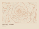 Mount Adams — Ink print in Desert Light (landscape)