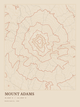Mount Adams — Ink print in Desert Light