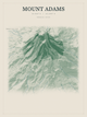Mount Adams — Red Relief print in Forest Floor