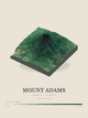 Mount Adams — Terrain Relief print in Forest Floor