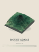 Mount Adams — Terrain Relief print in Forest Floor