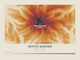 Mount Rainier — Contour Colour print in Ember & Ochre (landscape)