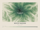 Mount Rainier — Contour Colour print in Forest Floor (landscape)