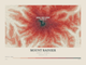 Mount Rainier — Contour Colour print in Red Earth (landscape)