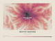 Mount Rainier — Contour Colour print in Rose & Stone (landscape)