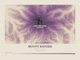 Mount Rainier — Contour Colour print in Plum & Clay (landscape)