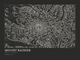 Mount Rainier — Ink print in Ink Dark (landscape)