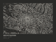 Mount Rainier — Ink print in Ink Dark (landscape)
