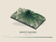 Mount Rainier — Terrain Relief print in Forest Floor (landscape)