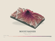 Mount Rainier — Terrain Relief print in Rose & Stone (landscape)