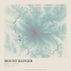 Mount Rainier — Traceline print in Fjord (square)