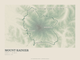 Mount Rainier — Traceline print in Forest Floor (landscape)