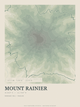 Mount Rainier — Traceline print in Forest Floor