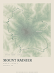 Mount Rainier — Traceline print in Forest Floor