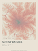 Mount Rainier — Traceline print in Red Earth