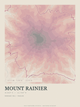 Mount Rainier — Traceline print in Rose & Stone