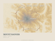 Mount Rainier — Traceline print in Saffron & Slate (landscape)