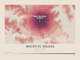 Mount St. Helens — Contour Colour print in Rose & Stone (landscape)