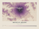 Mount St. Helens — Contour Colour print in Plum & Clay (landscape)