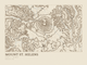 Mount St. Helens — Ink print in Atlas Light (landscape)