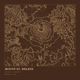 Mount St. Helens — Ink print in Desert Dark (square)