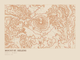 Mount St. Helens — Ink print in Desert Light (landscape)