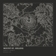 Mount St. Helens — Ink print in Ink Dark (square)