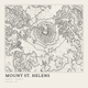 Mount St. Helens — Ink print in Ink Light (square)