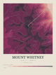 Mount Whitney — Contour Colour print in Rose & Stone
