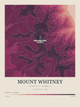 Mount Whitney — Contour Colour print in Rose & Stone