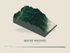 Mount Whitney — Terrain Relief print in Forest Floor (landscape)