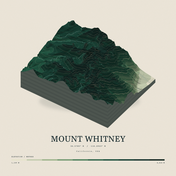 Mount Whitney — Terrain Relief print in Forest Floor (square)