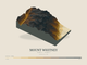 Mount Whitney — Terrain Relief print in Saffron & Slate (landscape)