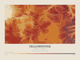 Yellowstone — Contour Colour print in Ember & Ochre (landscape)