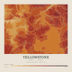 Yellowstone — Contour Colour print in Ember & Ochre (square)