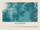 Yellowstone — Contour Colour print in Fjord (landscape)