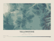 Yellowstone — Contour Colour print in Graphite (landscape)
