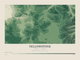Yellowstone — Contour Colour print in Forest Floor (landscape)
