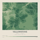 Yellowstone — Contour Colour print in Forest Floor (square)