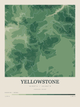 Yellowstone — Contour Colour print in Forest Floor