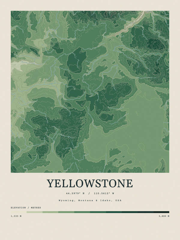Yellowstone — Contour Colour print in Forest Floor