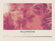 Yellowstone — Contour Colour print in Rose & Stone (landscape)