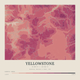 Yellowstone — Contour Colour print in Rose & Stone (square)