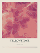 Yellowstone — Contour Colour print in Rose & Stone