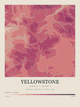 Yellowstone — Contour Colour print in Rose & Stone