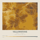 Yellowstone — Contour Colour print in Saffron & Slate (square)