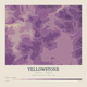 Yellowstone — Contour Colour print in Plum & Clay (square)