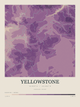 Yellowstone — Contour Colour print in Plum & Clay